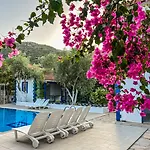 Pineloft Selimiye Otel *