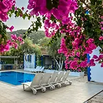 Pineloft Selimiye Muğla