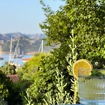 Otel Pineloft Selimiye Muğla