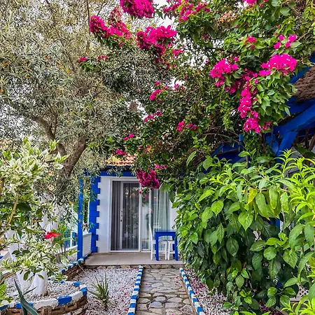Pineloft Selimiye Otel Muğla