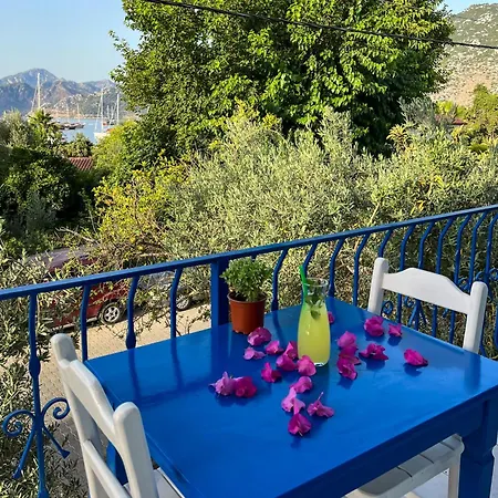 Hotel Pineloft Selimiye *