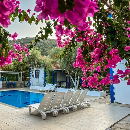 Pineloft Selimiye Muğla