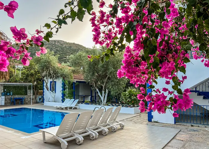 Pineloft Selimiye Hotel *